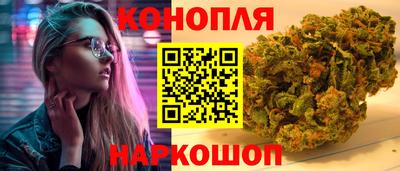 сатива Шахты